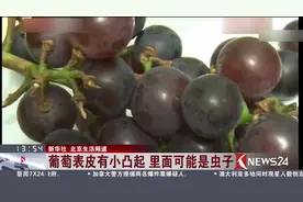 葡萄表皮长满“介壳虫”！这样的葡萄给钱也不能吃！视频封面