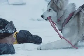 八只雪橇犬被抛弃在南极，没有食物的它们如何独立生存175天？