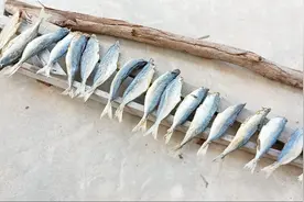 养活了湛江穷人的一种鱼，曾3块钱一斤，有了它夏天吃饭才香视频封面