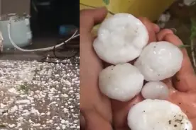 山东烟台突降冰雹 鸡蛋大小吓坏居民 果农哭喊：老天求求你别下了视频封面