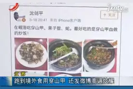 江苏：跑到境外食用穿山甲 还发微博高调炫耀视频封面