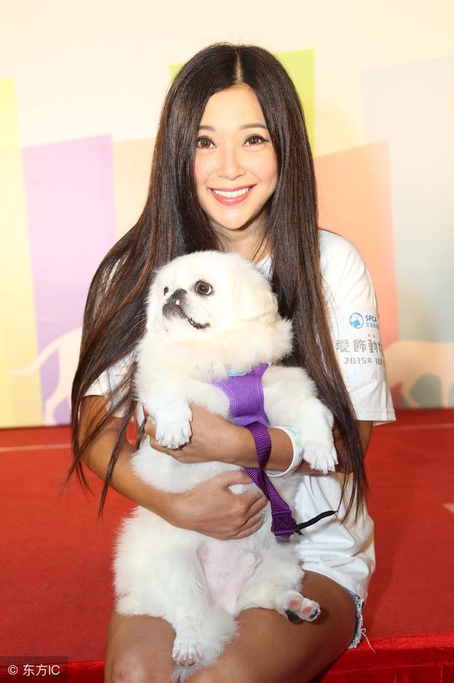 中药学考点——药物来源及化学成分