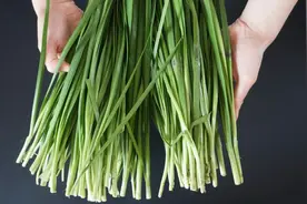 怕买到毒韭菜？教你一招，挑出的韭菜新鲜又绿色，赶紧告诉身边人