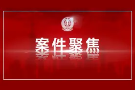 案件聚焦：同一伤情两种结论，普陀法院邀请鉴定专家出庭质证图片