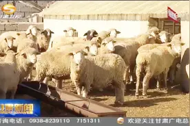 甘肃天祝：勠力同心拔穷根 藏乡巨变奔小康视频封面