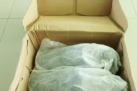 鞋盒里的布袋不要扔，它还有很多神奇的妙用，快打开看看吧！视频封面