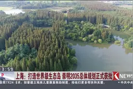 三环四轴五景 打造世界级生态岛 崇明2035总体规划正式获批视频封面