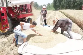 农村小麦联合收割机，割一亩地80元一天割50亩，这样算挣多少钱？视频封面