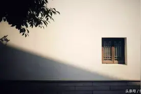 父亲的脊背图片
