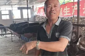 驴肉市场价30多元一斤，为啥农民不大规模养殖？听农村大叔咋说！
