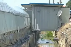 在韩外籍劳工辛酸纪实：住在集装箱 工资被拖欠 基本权益无保障视频封面