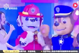 汪汪队还有”小猪佩奇“孩子们原来喜欢这些动画片！