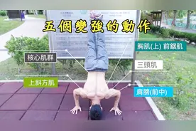全身肌肉几乎会练到的五个动作，让你的力量训练提升一个层次