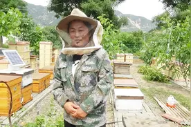 采访：纯正的蜂蜜多少钱一斤？农村养蜜蜂大姐告你价格，贵不贵？视频封面