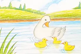 门前大桥下游过一群鸭，小鸭子的简单画法喜欢的快来收了！视频封面