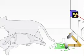 人的意识可以决定猫的生死？你真的理解薛定谔的猫吗？视频封面