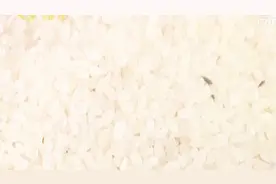 长知识了，大米里面放点这个东西，保存一年都不会长虫子！