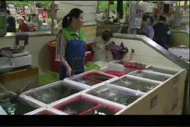 河虾价高少人问津 基围虾跌价受欢迎视频封面
