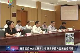 云南省临沧市临翔区、镇康县党政代表团来崇考察视频封面