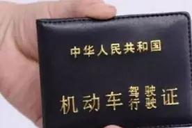 qq隐藏的小技巧你知道吗？只需轻松几步，立马查询驾照分数视频封面