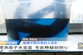 浸泡茄子水变蓝 专家释疑别担心视频封面