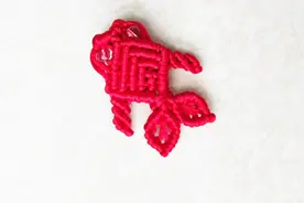 小金鱼详细的编绳教程，新手看一遍都能学会