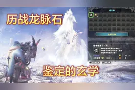 「服部」《MHW》龙脉石总出不用的武器怎么办？（怪物猎人世界）视频封面