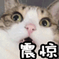 距离高考还有1天：那些吃药推迟经期、打氨基酸增加营养的考生们，正常吃饭睡觉就可以了！