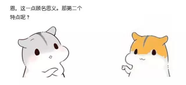 ��ÿ�շ�����ʲô�Ǵ�����