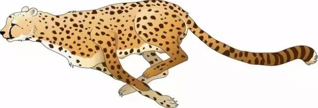 ��ÿ�շ�����ʲô�Ǵ�����