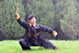 河北省传统武术联合会会长丁新民先生在德国讲学时表演太极拳视频封面