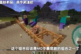 我的世界最奇葩的“骑士”，苦力怕还能骑豹猫？最搞笑的要数它！视频封面