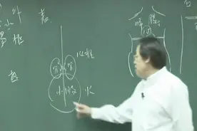 倪海厦：水份在肾脏小肠肝脏运动过程，小便的形成原理原来如此！