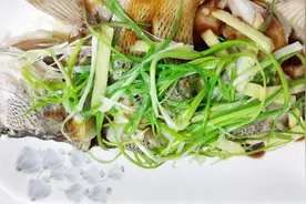 揭秘饭店蒸鱼味道鲜美不腥的诀窍，学会可以开饭店了视频封面
