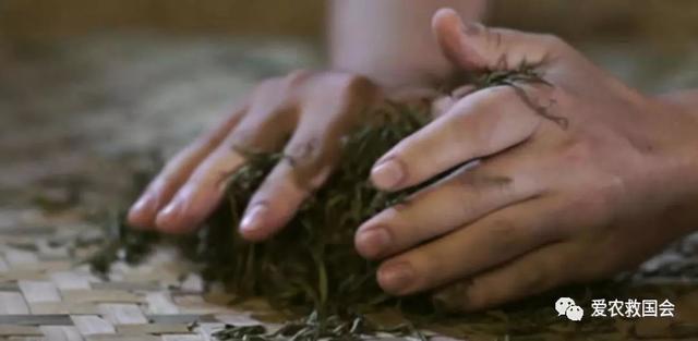 发酵过程中红茶生化成分的变化