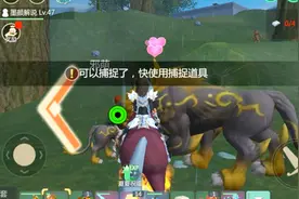 创造与魔法 制作饲料 墨颜驯剑齿虎王当坐骑 采集松露视频封面
