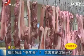 重庆：猪肉惊现“寄生虫”？结果竟是虚惊一场视频封面