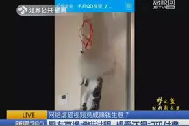 怒了！用火烧、开水烫！网友直播虐猫，看一次收费69元！图片