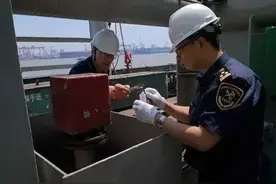 南京海关查获百余剧毒“寡妇蛛” 一旦被咬几小时可致死图片
