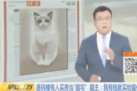 活得不如猫！居民买房专门养猫 24小时开空调！一只就要好几万！视频封面