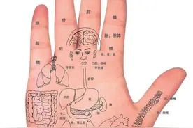 中医《手诊歌》：通俗易懂，一看就会图片
