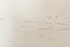 家里墙上有黑印？教你一招，快速去除干净，像新刷的一样视频封面