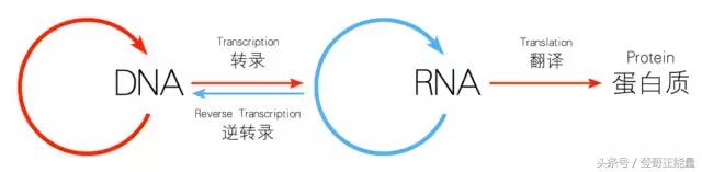 你没看错！今年高考全国1卷理综第8题单选A和B都给分！