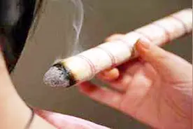 艾叶还有这些功效！这3个妙用你知道吗？快来了解一下吧！视频封面
