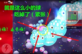 球球大作战：被敌人测涨，教你如何轻松走位轻松应对