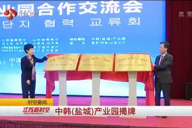 这可是国家级合作园区！中韩（盐城）产业园揭牌视频封面