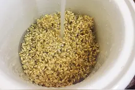 断奶期，宝妈喝这2种“天然回奶汤”，宝宝一周就能成功戒奶