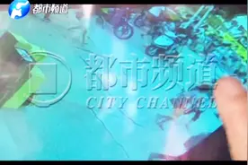 最新独家！监控记录河南乡村女教师为学生挡车身亡的最后时刻！视频封面