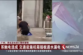 男子涉水沿绿化带行走 疑似受到电击 不幸身亡！视频封面