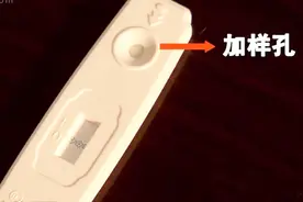 如何正确使用验孕棒？验孕棒用错会导致结果不准，快跟视频学起来